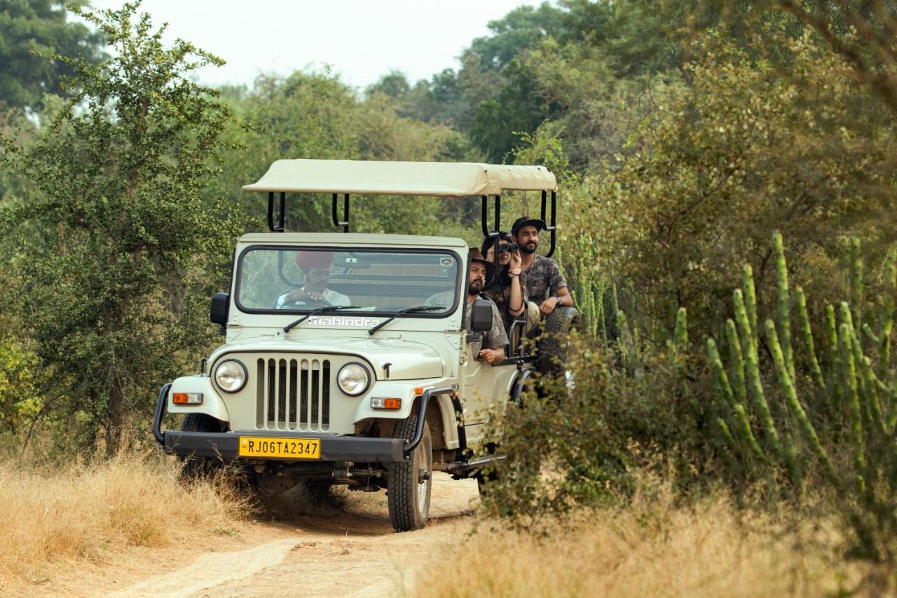 Raas Chhatrasagar, Nimaj, District Pali Ngoại thất bức ảnh