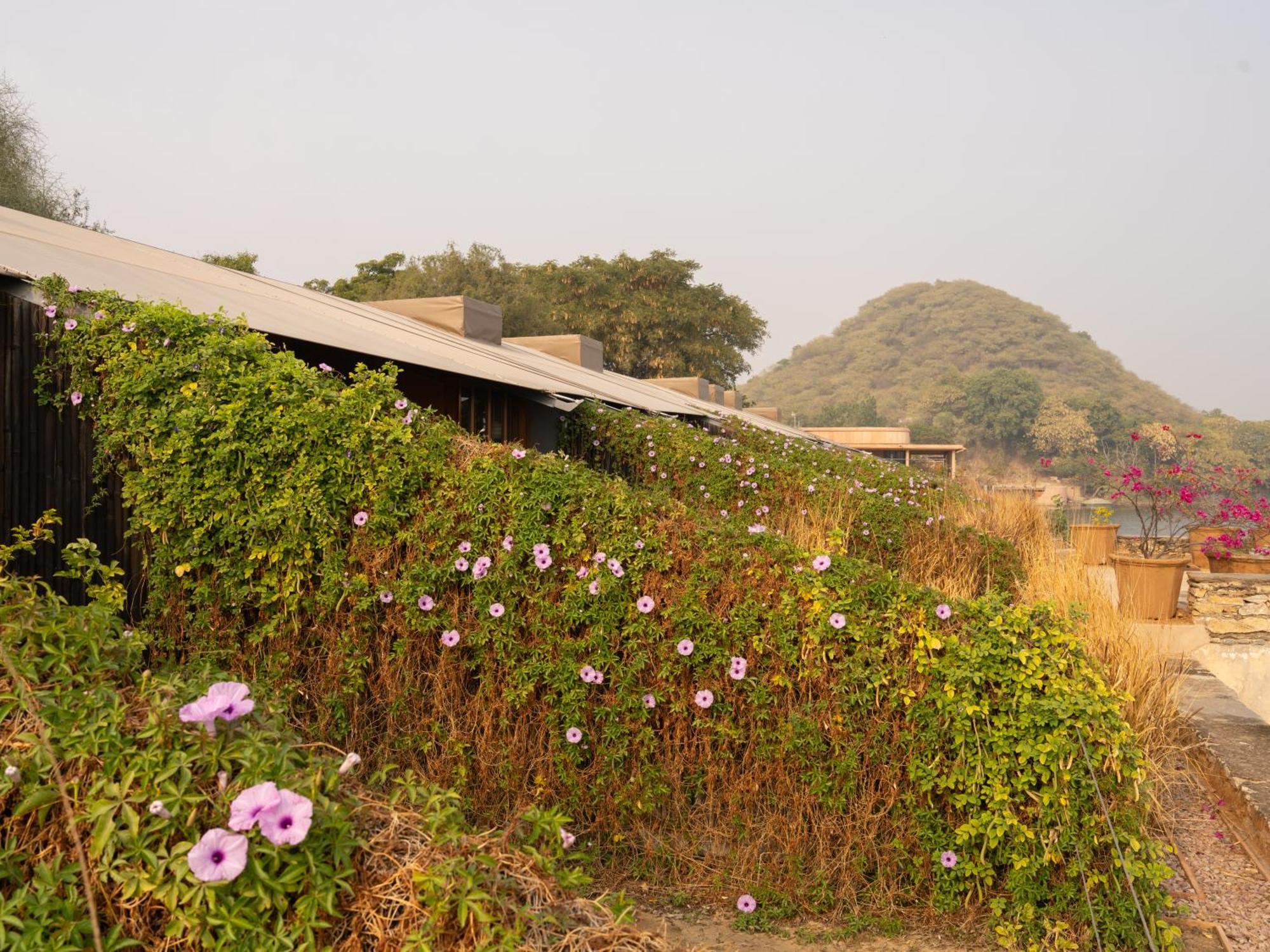 Raas Chhatrasagar, Nimaj, District Pali Ngoại thất bức ảnh