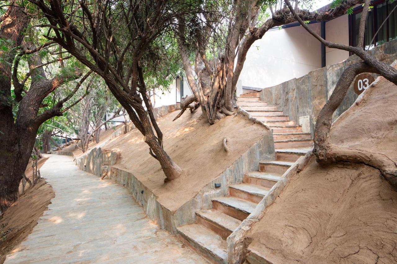 Raas Chhatrasagar, Nimaj, District Pali Ngoại thất bức ảnh